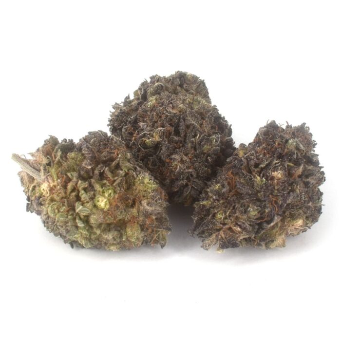 Buy 9Lb Hammer Cannabis Strain Online