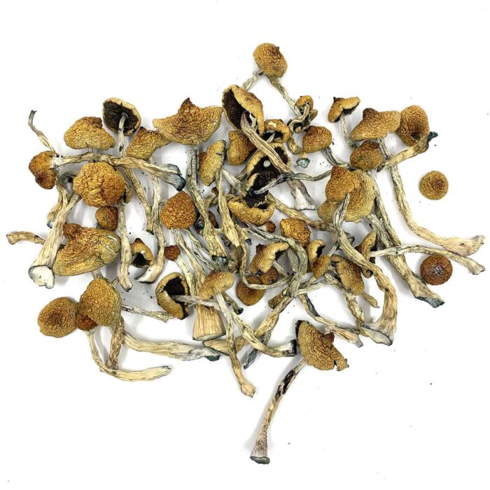 Buy Arenal Volcano Magic Mushrooms Online