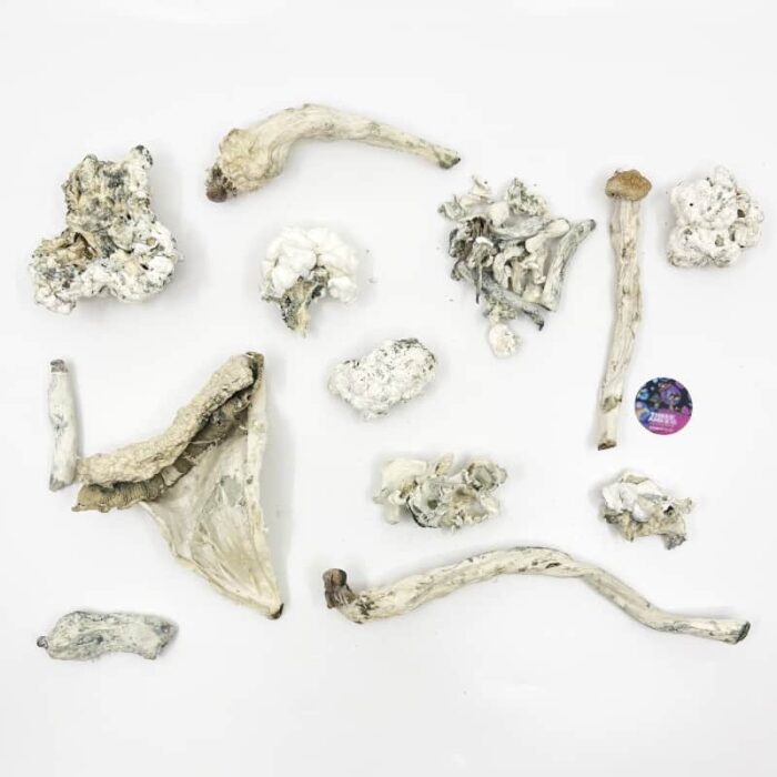 Buy Enigma Magic Mushrooms Online