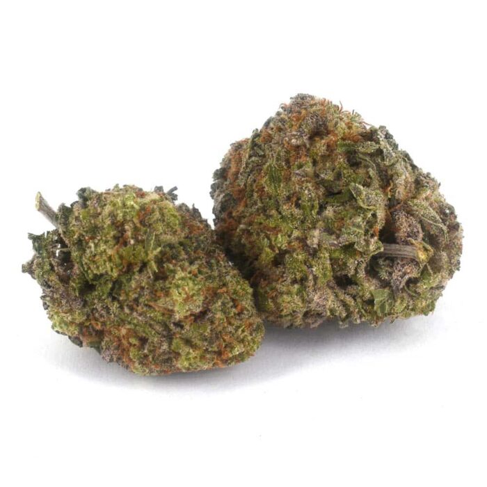buy-cheese-quake-cannabis-strain-online Buy Cheese Quake Cannabis Strain Online