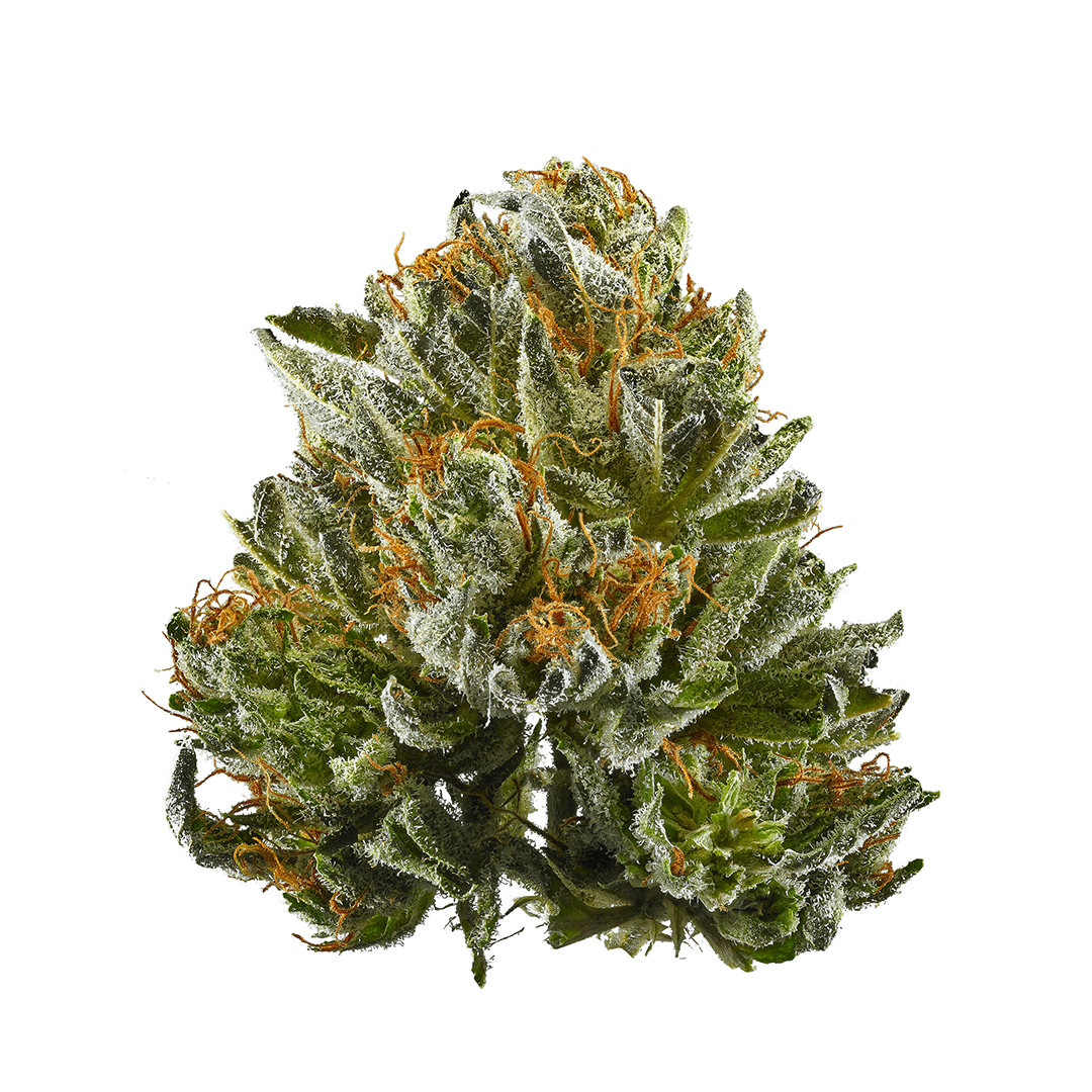 Buy Bubba Kush Strain Online