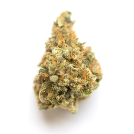 Buy Donny Burger Strain Online
