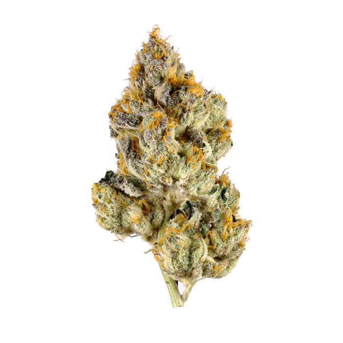 Buy Lemon Cherry Gelato Online
