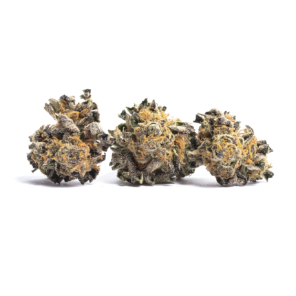 Buy Master Kush Strain Online