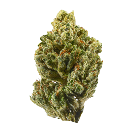Buy OG Kush Strain Online