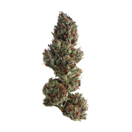 Buy Runtz Strain Online