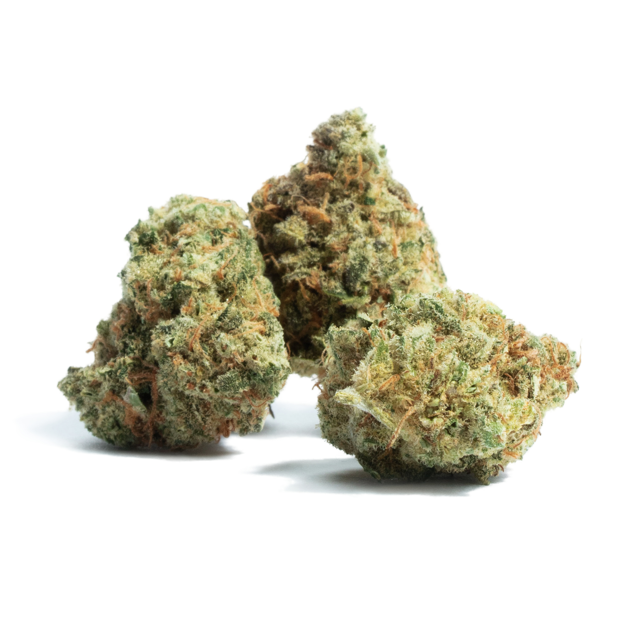 Buy Sativa Strains Online