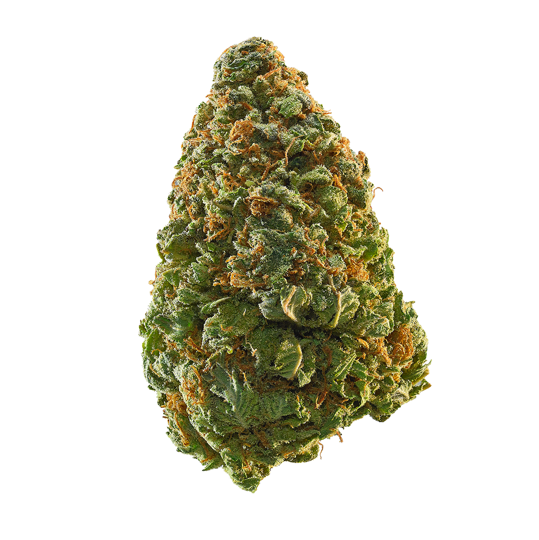 Buy Sativa Strains Online
