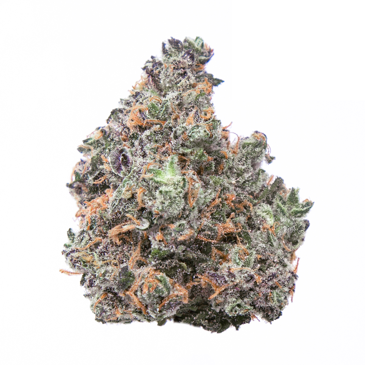 Buy Sativa Strains Online