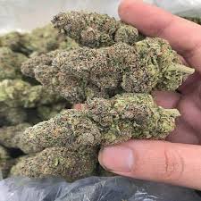 Blue Dream Cannabis Strain Near Me