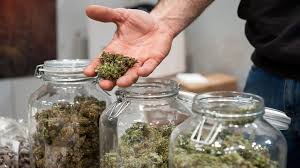 Premium Cannabis Near Me